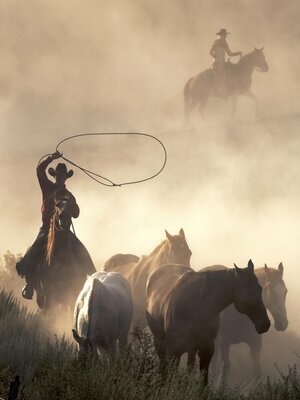 cover image of Kid Turner